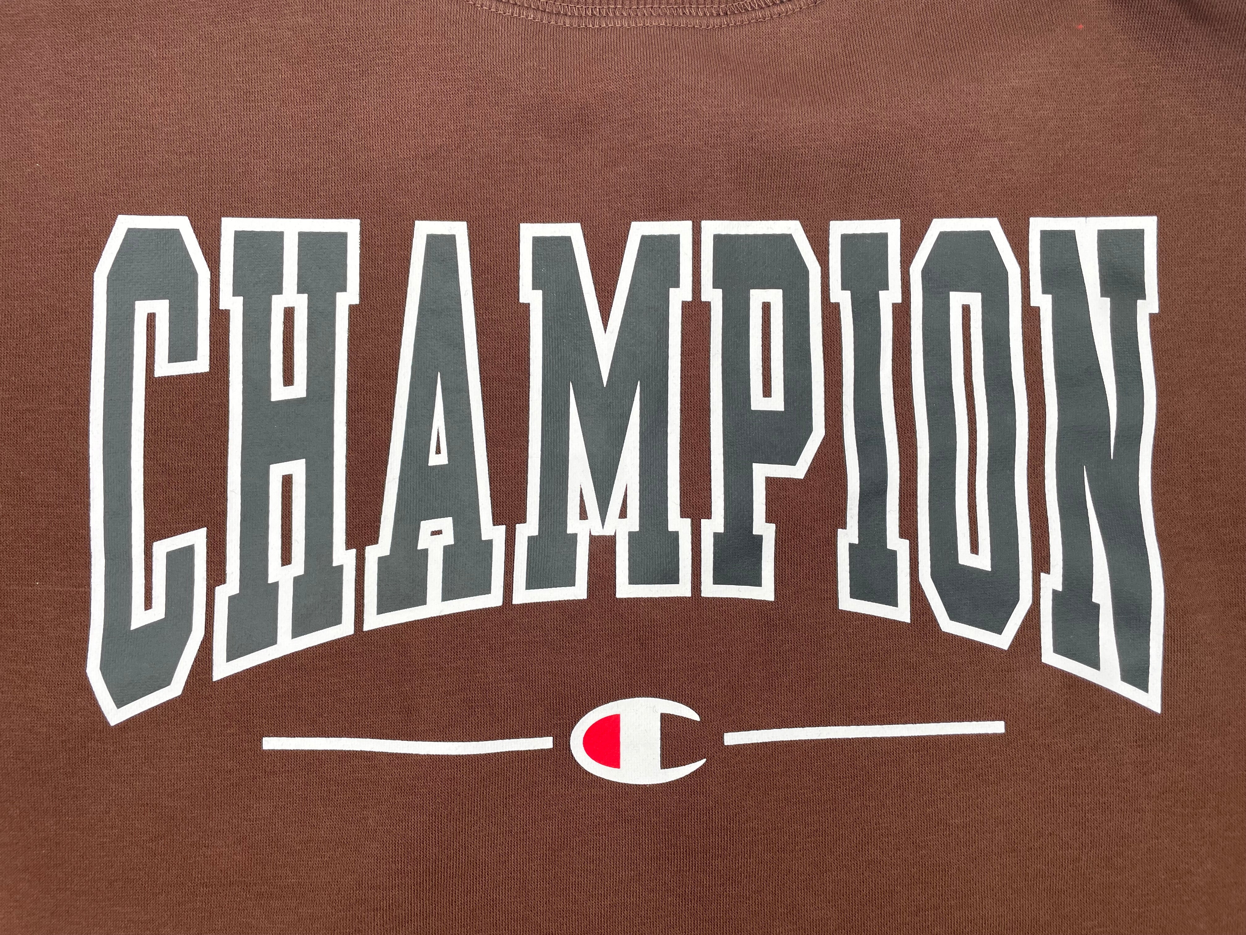 CHAMPION MEN'S GRAPHIC BROWN SWEATSHIRT