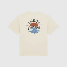 Dickies Beach Tee - Whitecap Gray