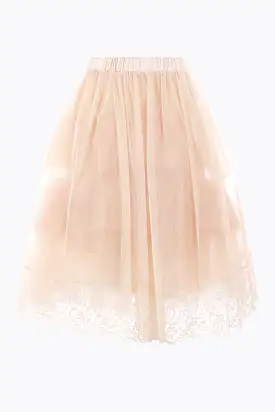 embroidered tulle skirt