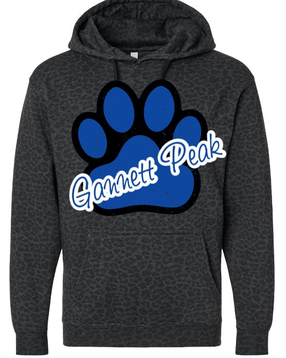 Gannett Peak School Hoodie