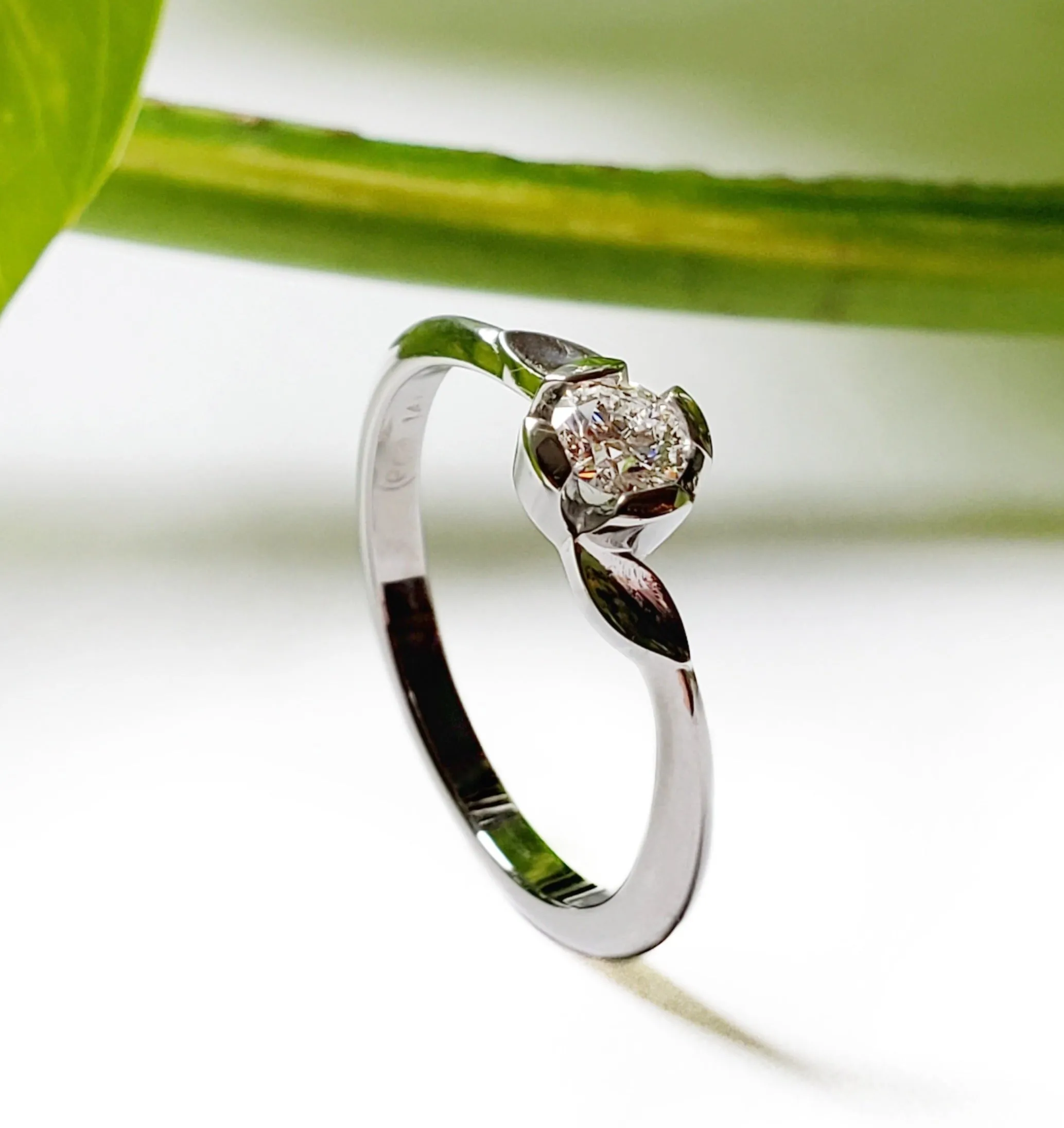 Sprig | Canadian Diamond